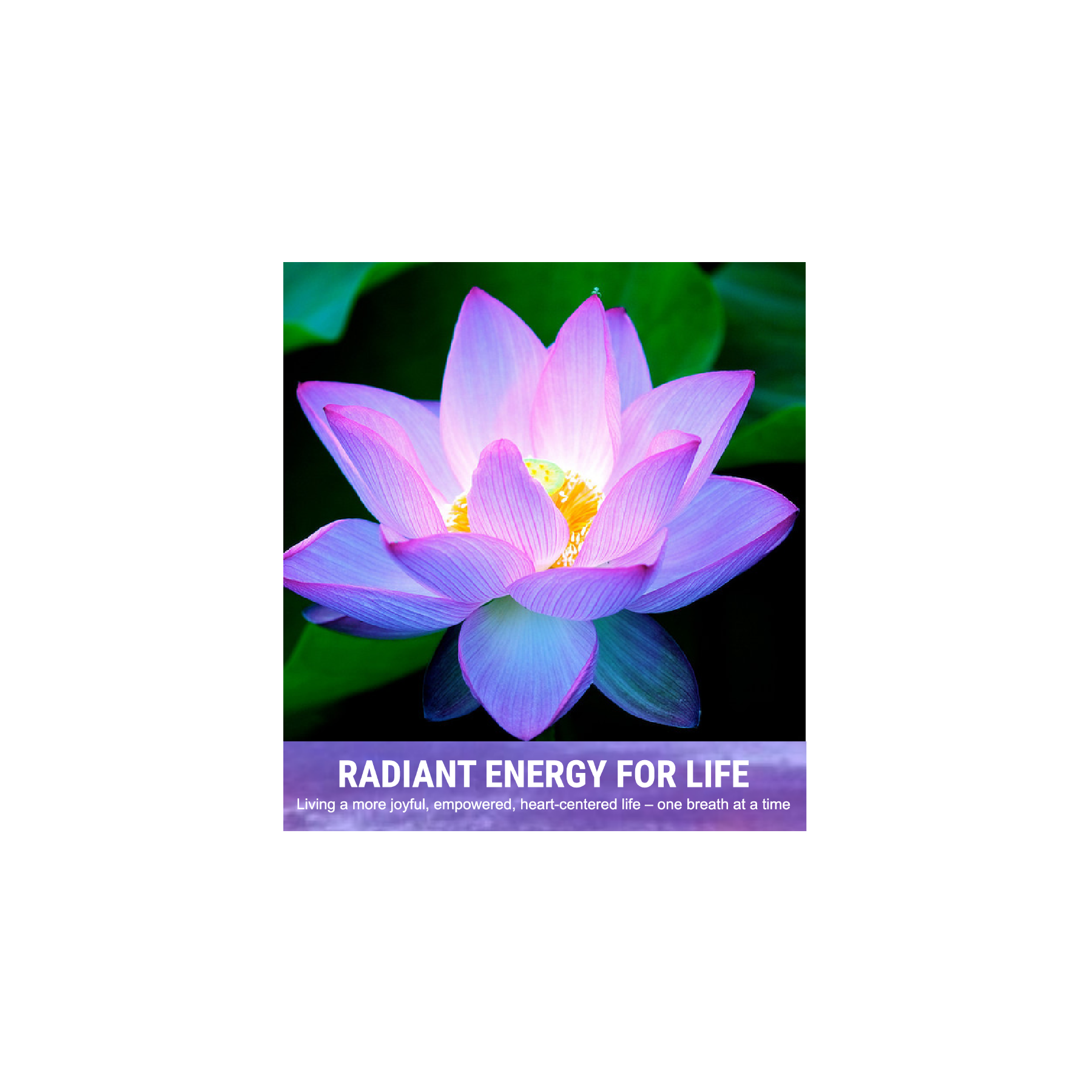 Sunnybrook Wellness: $25 Voucher